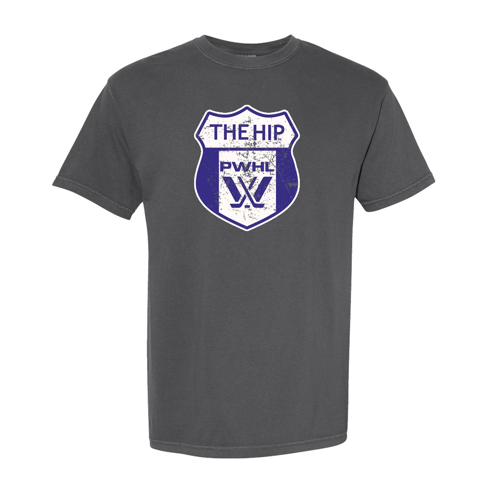 Gray t-shirt with a blue and white logo on a white background