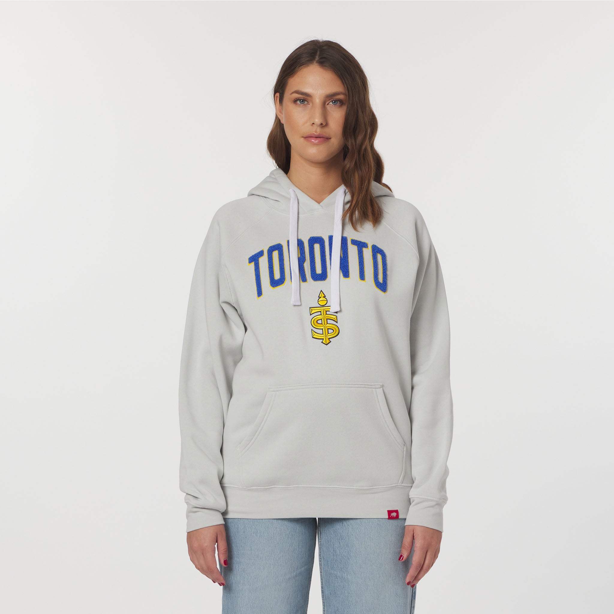 Person wearing a gray hoodie with 'Toronto' and a logo on a white background