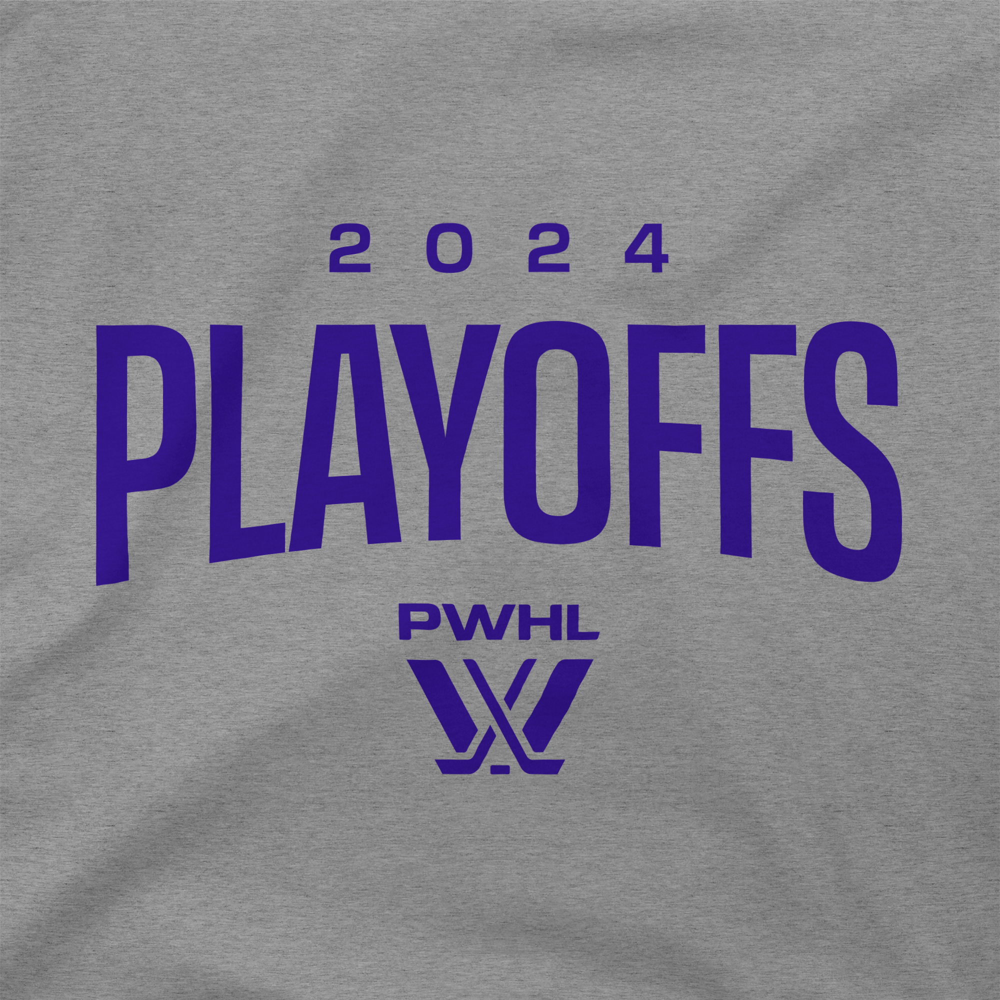 PWHL Playoffs Youth Hoodie - Hoodie in Gray