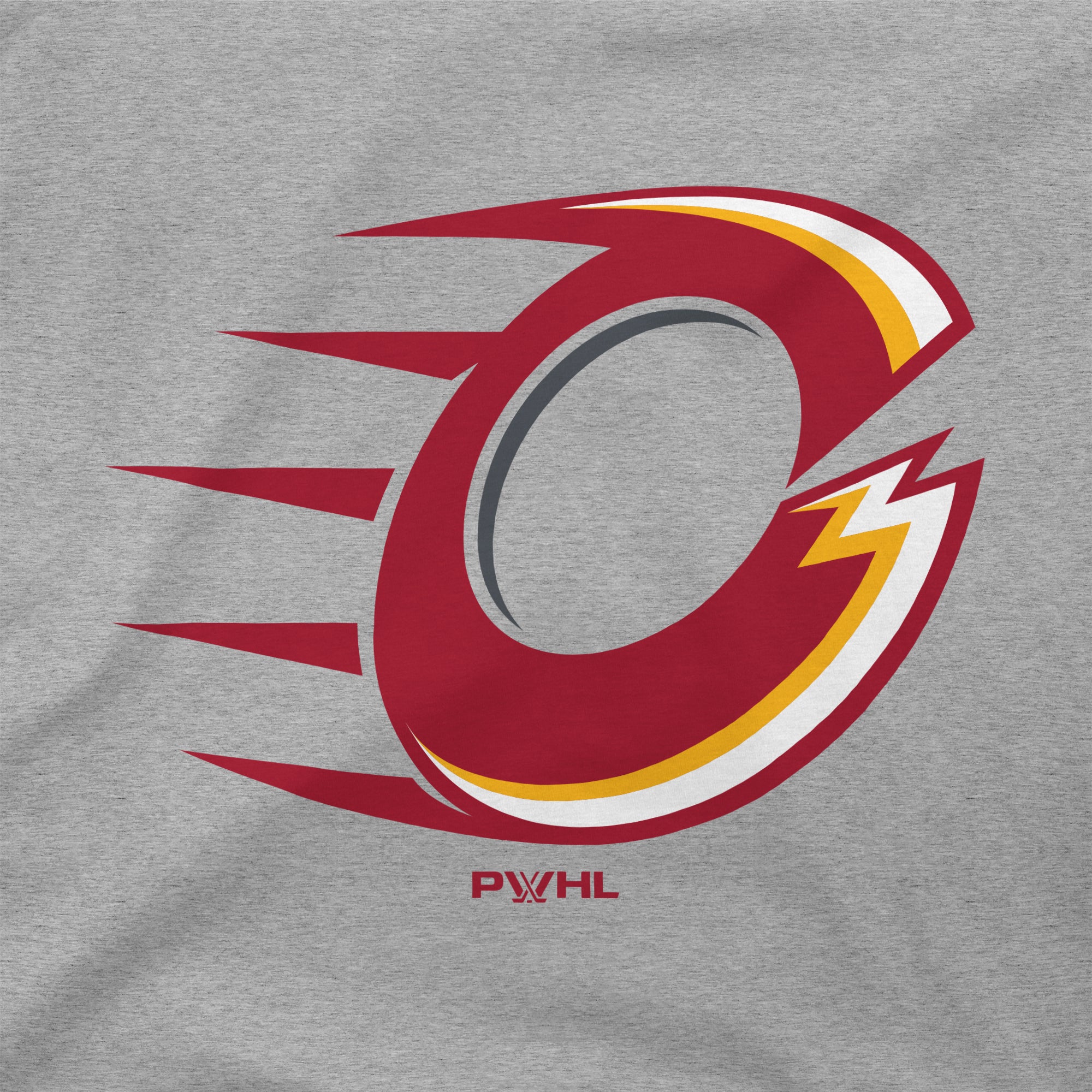 Ottawa Charge Unisex Stadium Essentials Logo T-Shirt - T-Shirt in Gray