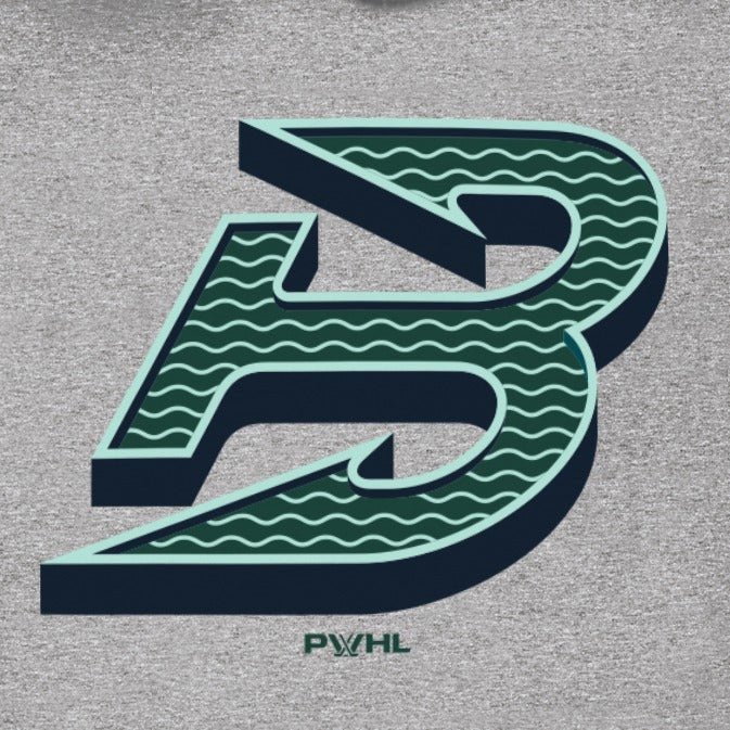 Boston Fleet Youth Stadium Essentials Logo Hoodie - Hoodie in Gray