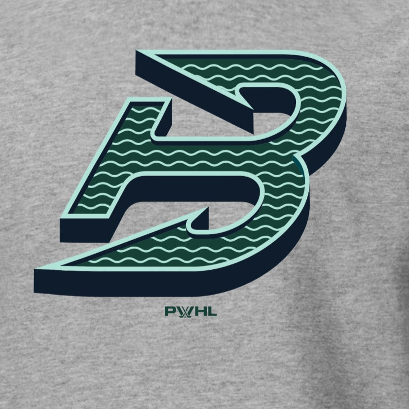 Boston Fleet Youth Stadium Essentials Logo T-Shirt - T-Shirt in Gray