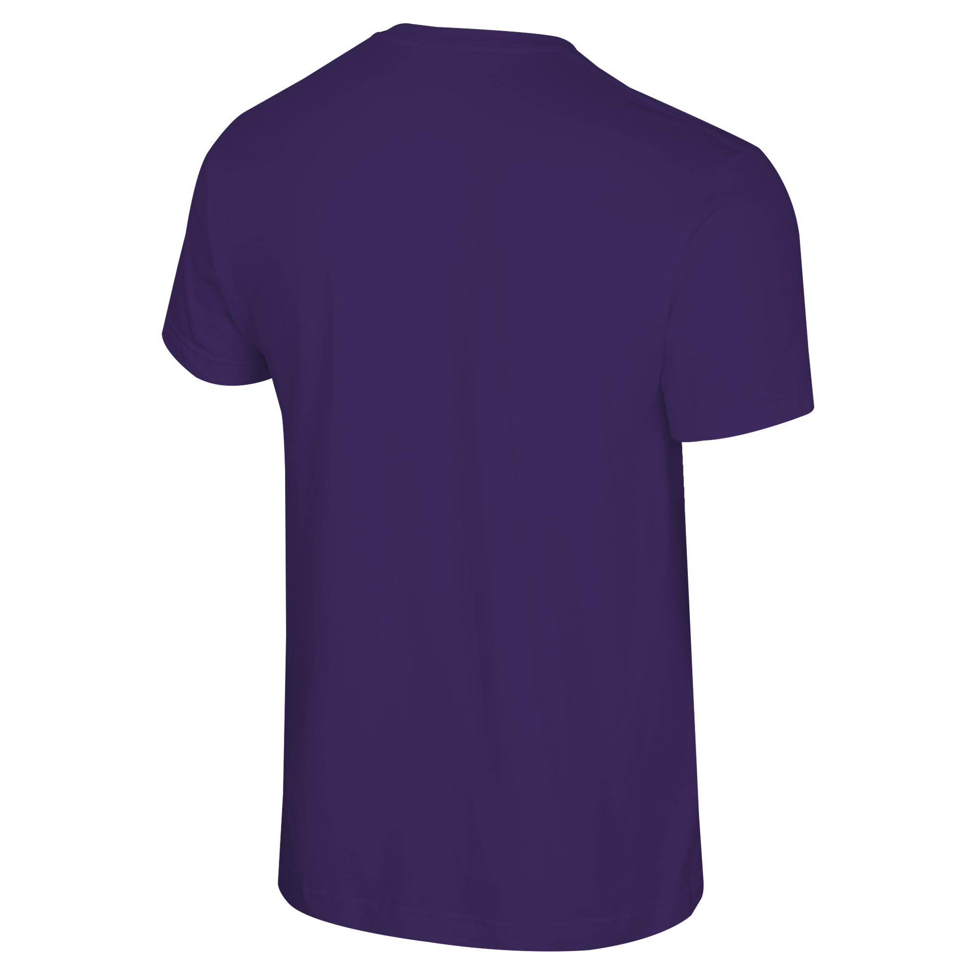 Minnesota Frost Adult Stadium Essentials Your Way T-Shirt - T-shirt in Purple