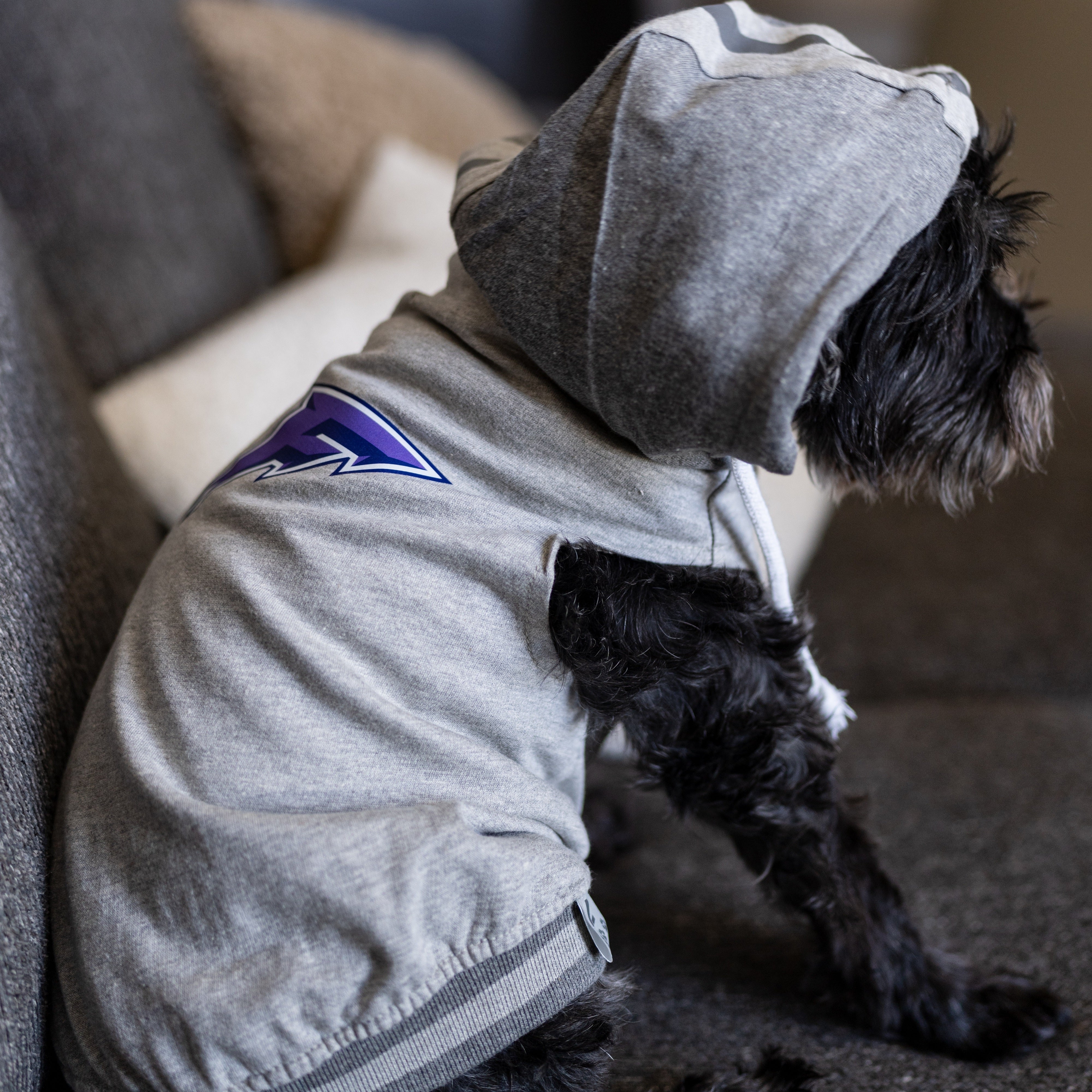 Minnesota Frost Pet Hooded Crewneck - Pet in Gray