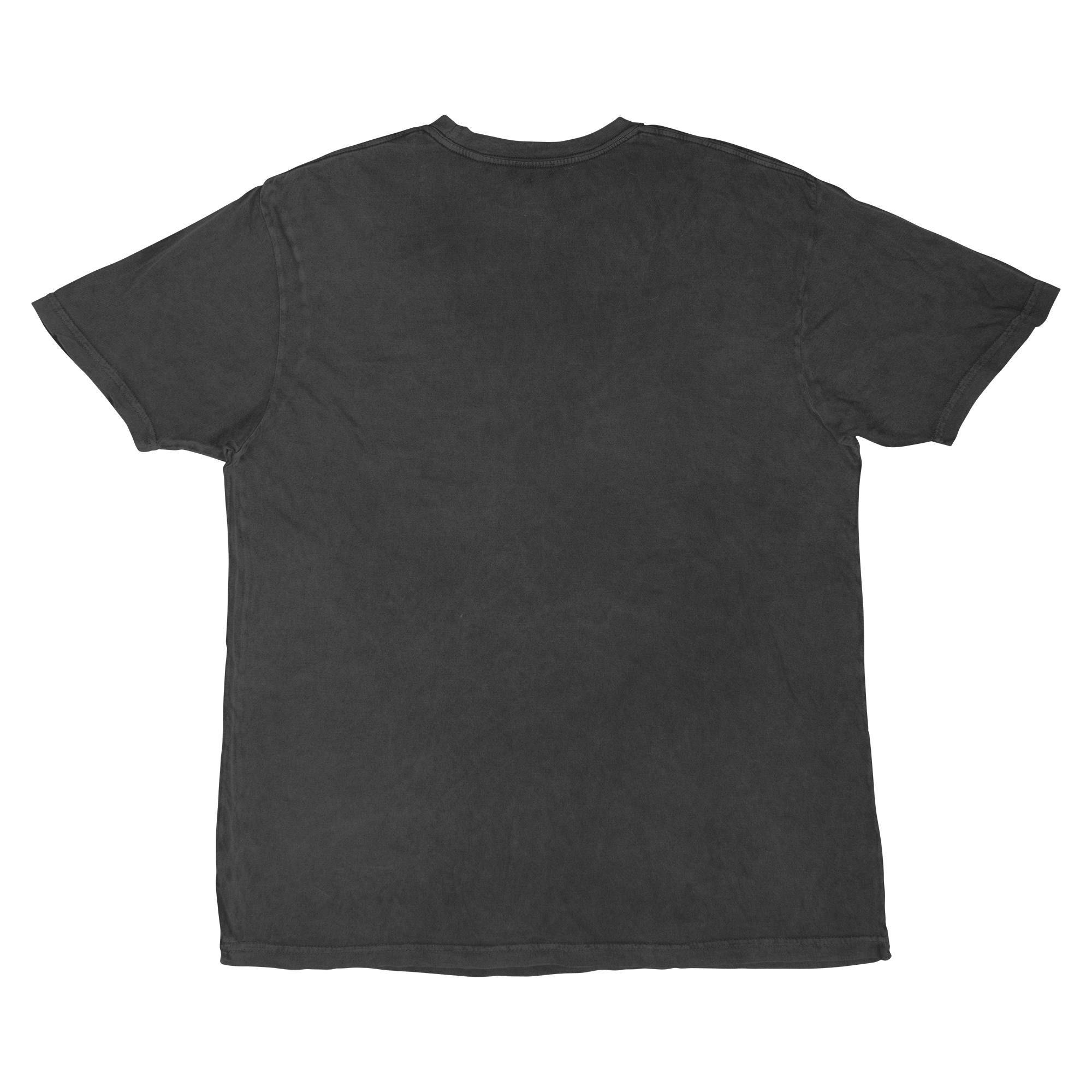 Pre - Order Minnesota Frost Adult Stadium Essentials Issue Pride Vintage T-Shirt - T-Shirt in Vintage Black