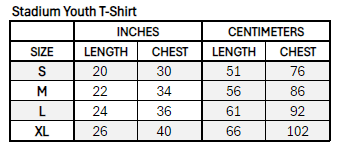 Boston Fleet Youth Stadium Essentials Logo T-Shirt - T-Shirt in Gray