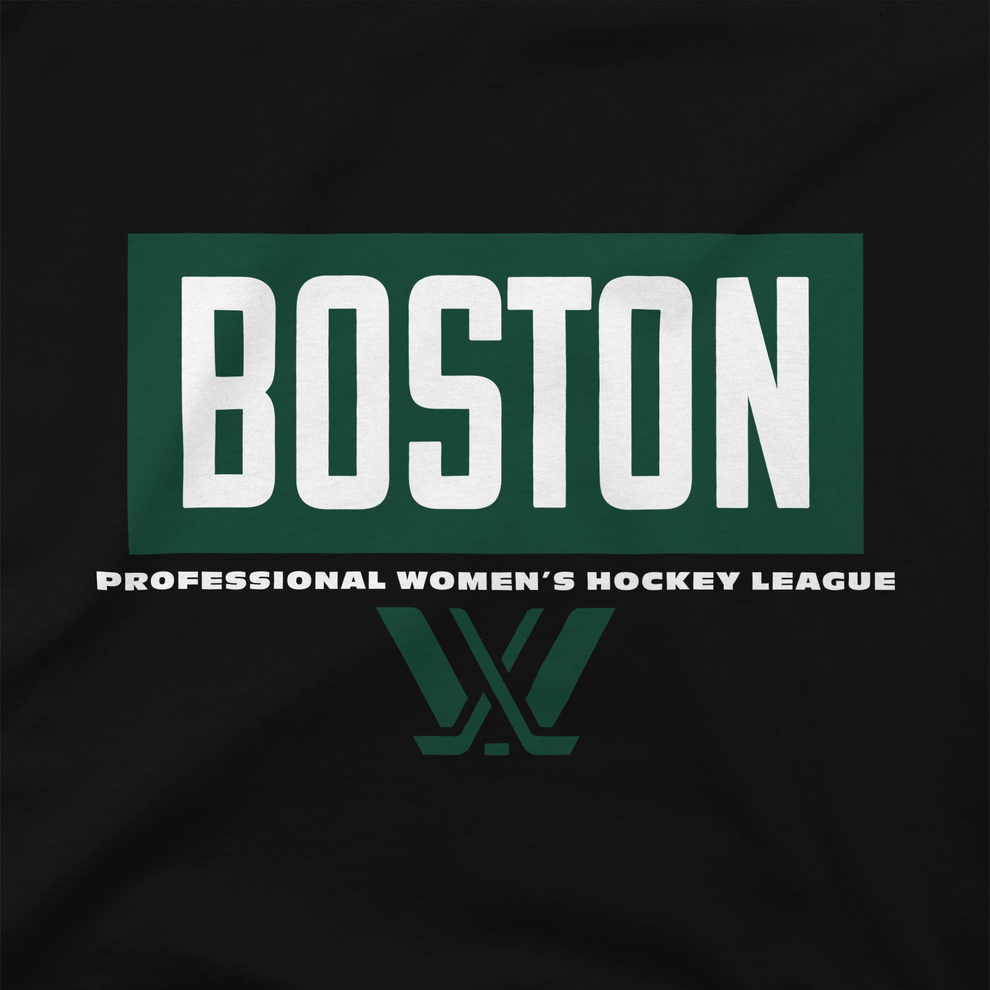Boston Block Youth Hoodie - Hoodie in Black
