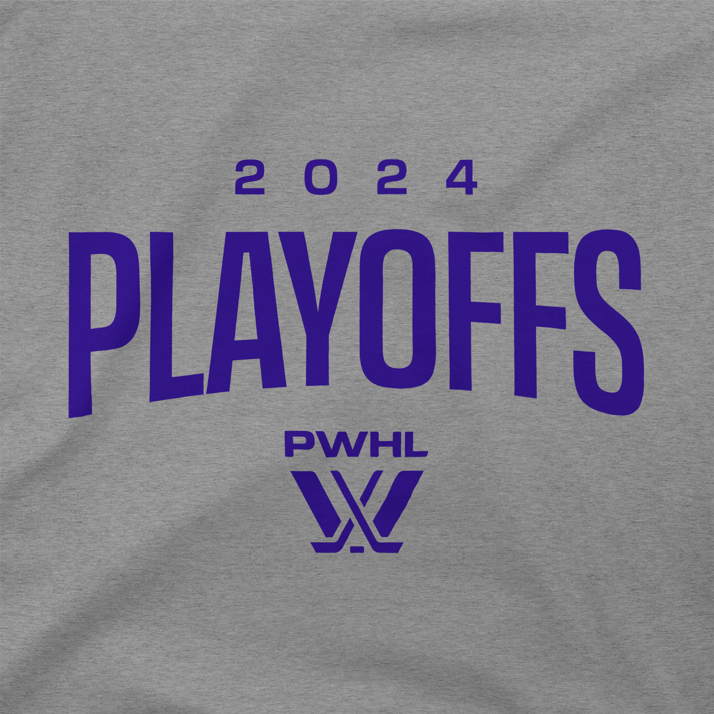 PWHL Playoffs Youth Hoodie