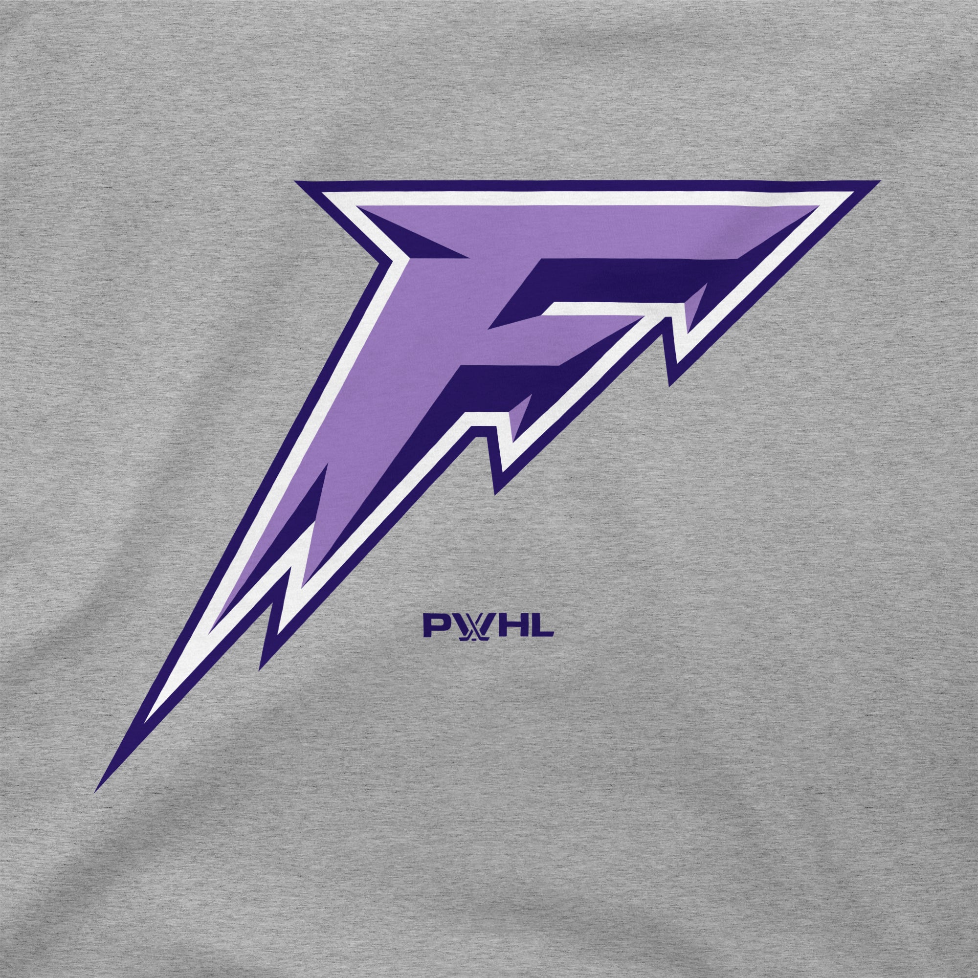 Minnesota Frost Unisex Stadium Essentials Logo T-Shirt - T-Shirt in Gray