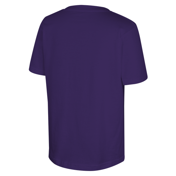 Minnesota Frost Youth Stadium Essentials Championship After Hours 25 T-Shirt - T-shirt in Purple