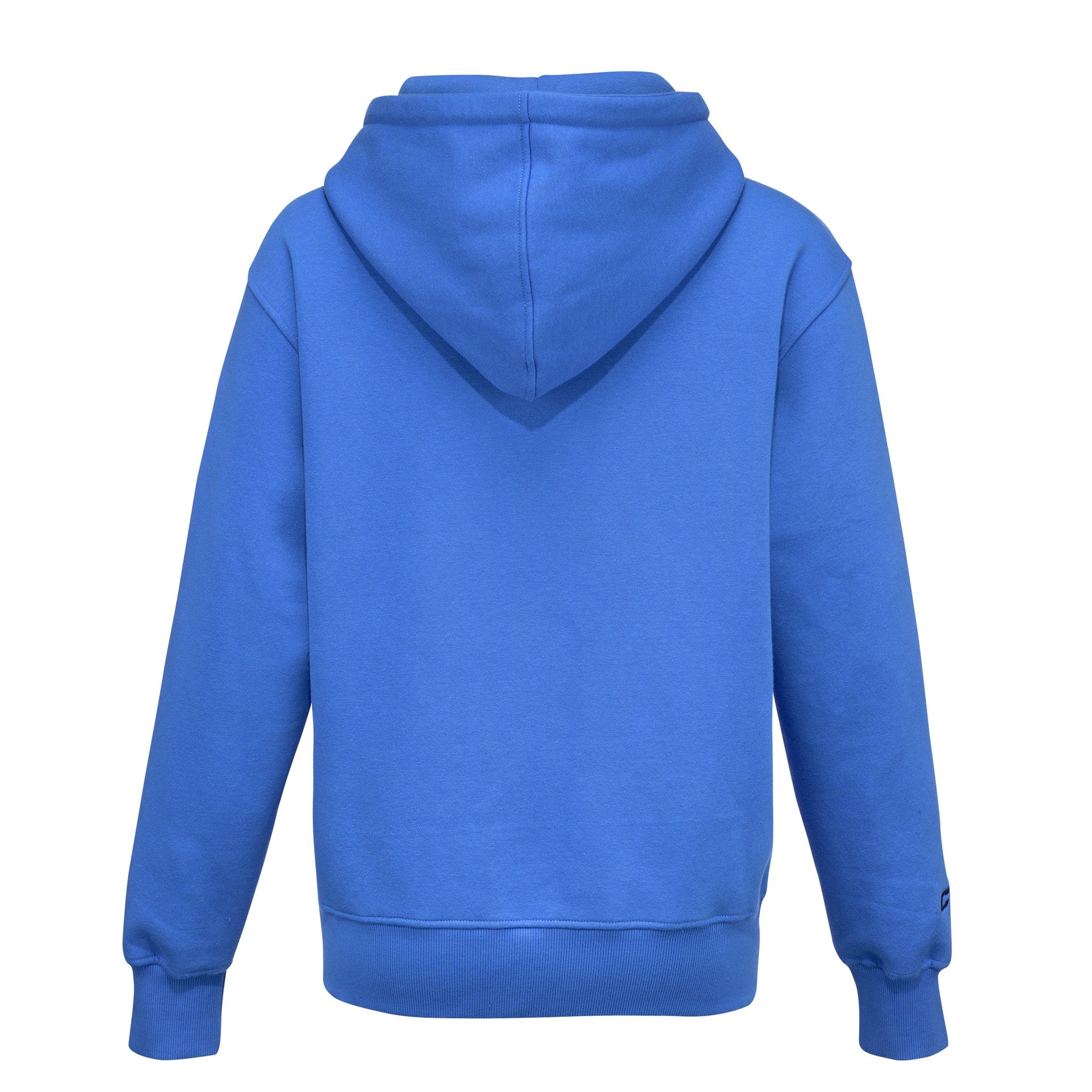 Blue hoodie shown from the back on a white background