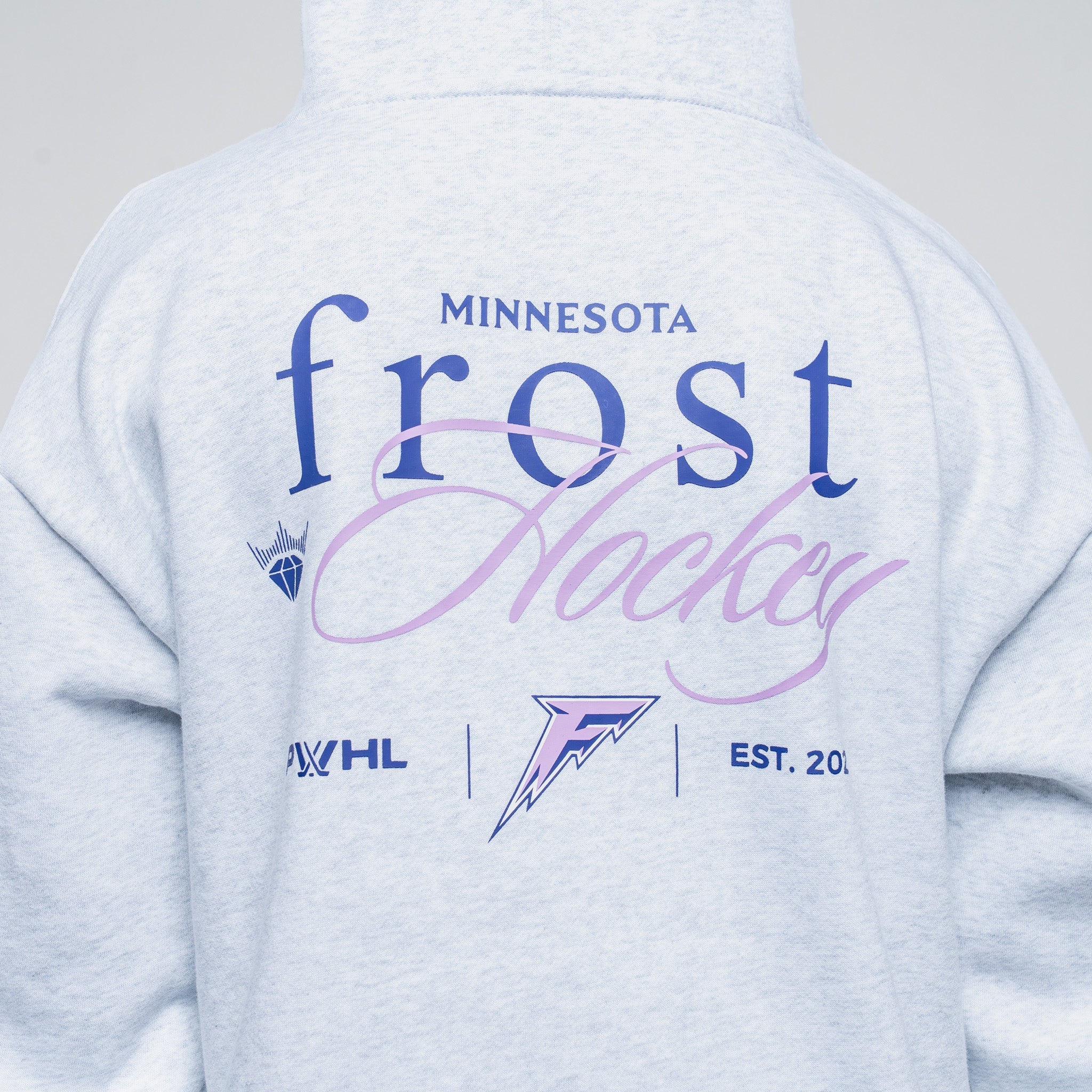 Light gray hoodie with 'Minnesota Frost Hockey' text and logos on a plain background
