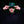 Boston Fleet Adult Celly Logo Corduroy Hat