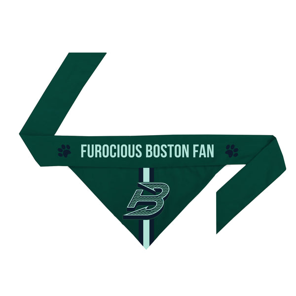 Boston Fleet Reversible Pet Bandana - Pet in Green