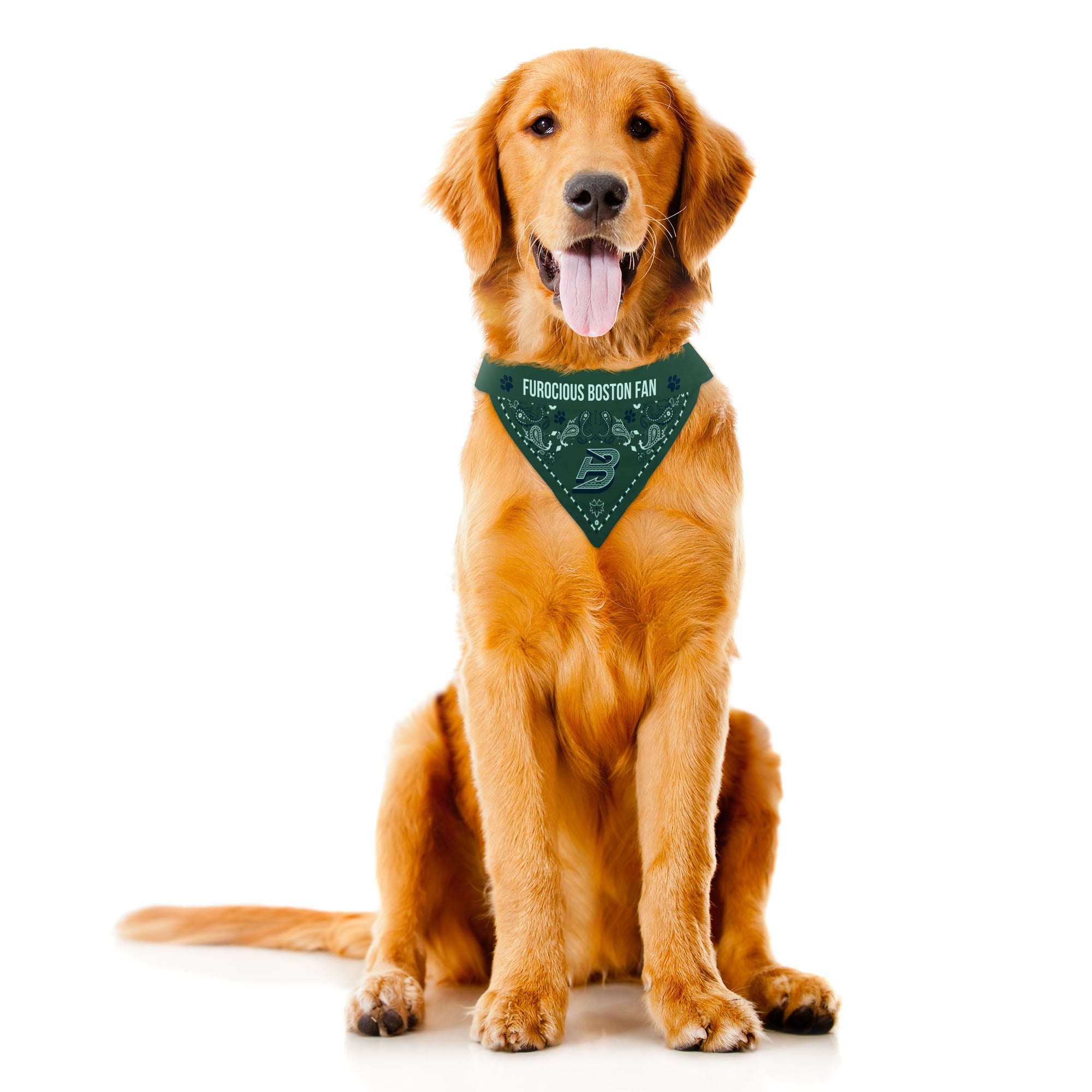 Boston Fleet Reversible Pet Bandana - Pet in Green