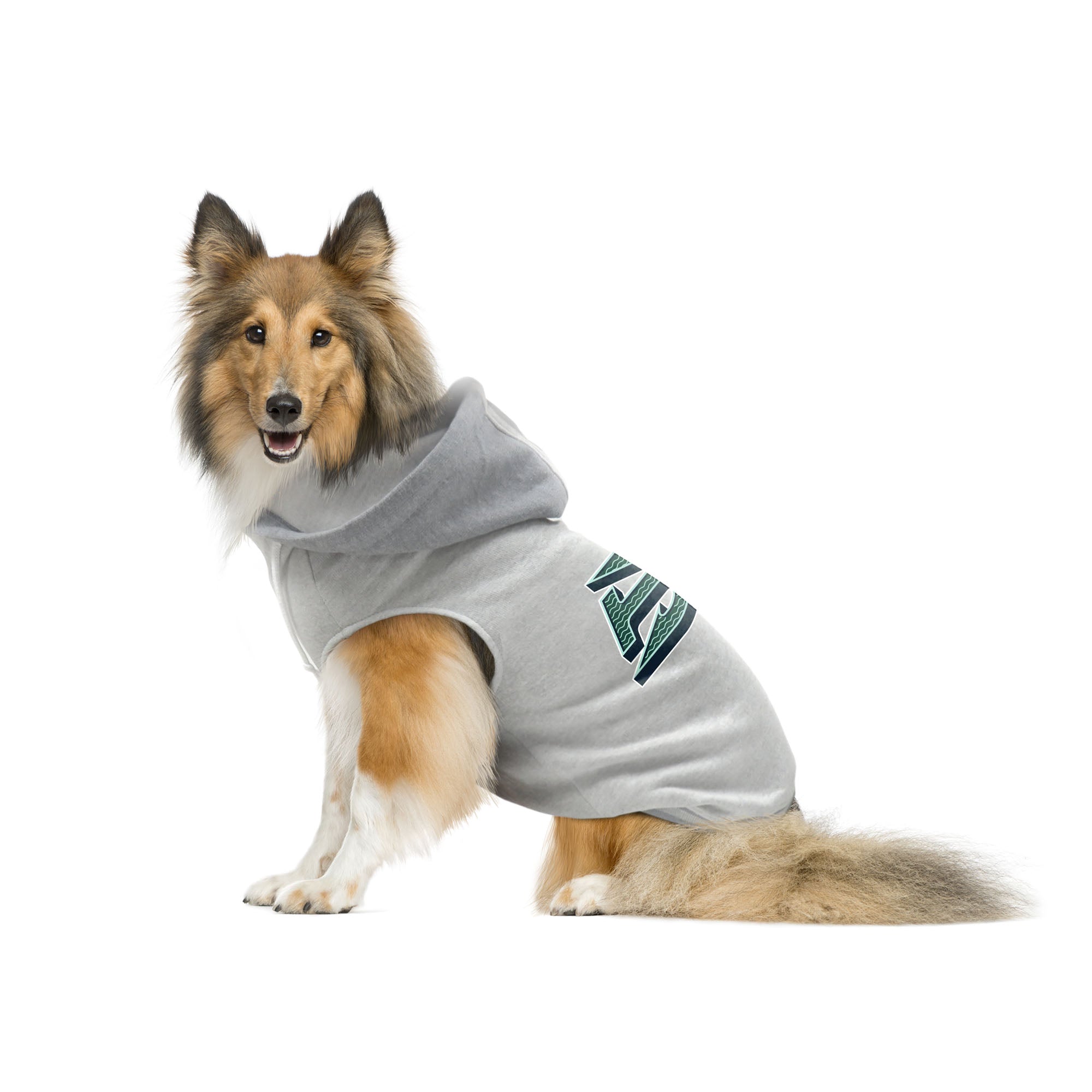 Boston Fleet Pet Hooded Crewneck - Pet in Gray