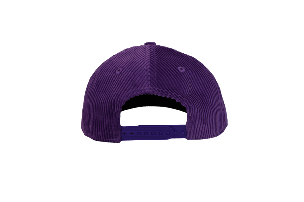 Minnesota Frost Adult Celly Logo Corduroy Hat