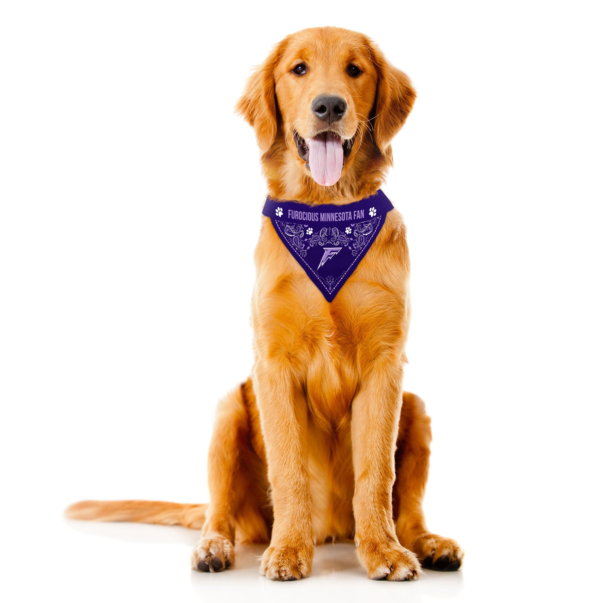 Minnesota Frost Reversible Pet Bandana - Pet in Purple