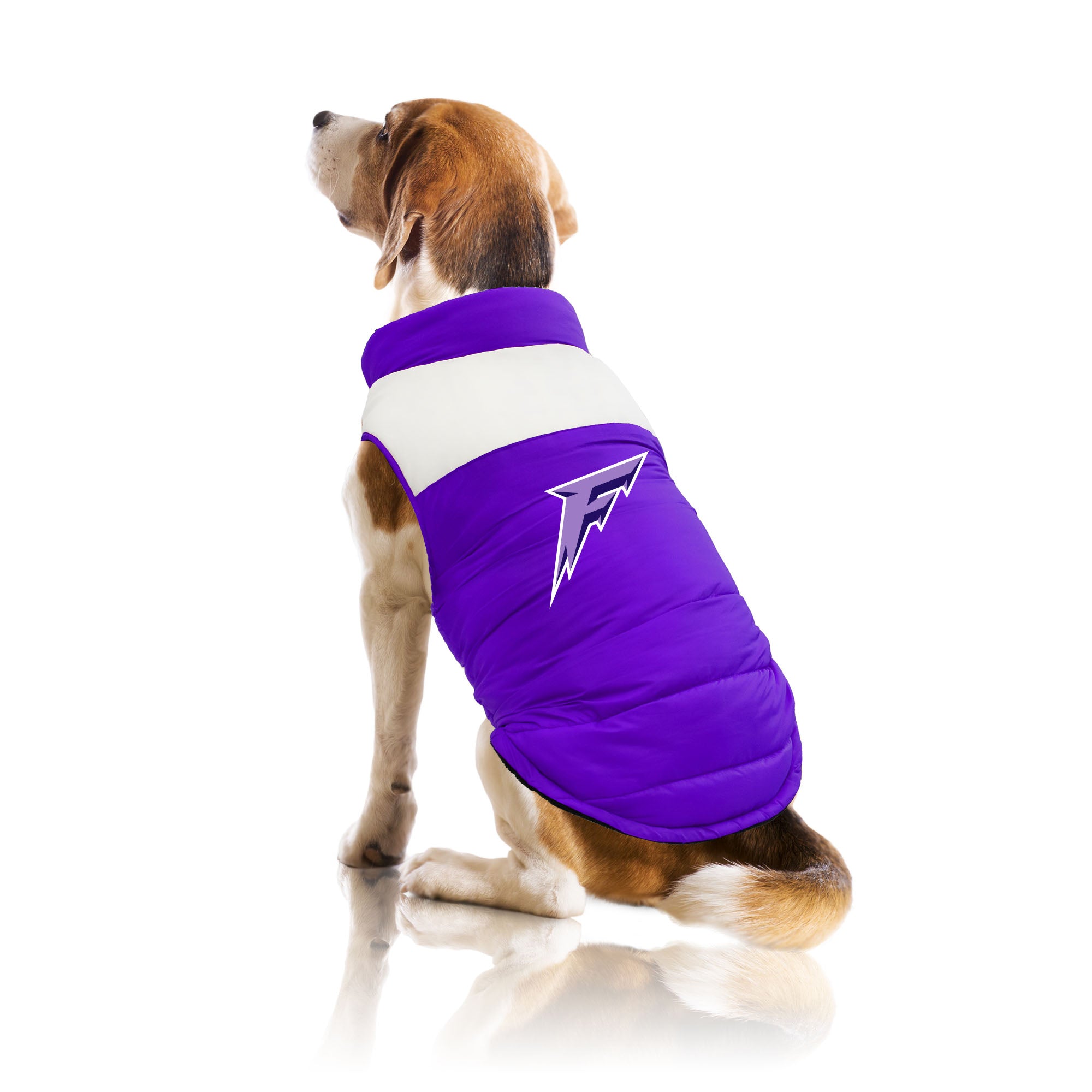 Minnesota Frost Pet Parka Puff Vest - Pet in Purple