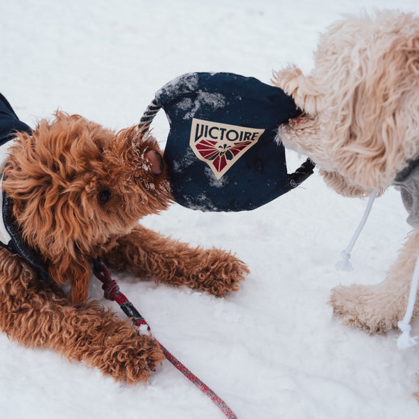 Montreal Victoire Flying Disc Pet Toy - Pet in Navy