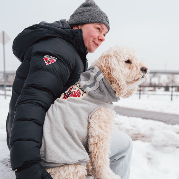 Montreal Victoire Pet Hooded Crewneck - Pet in Gray