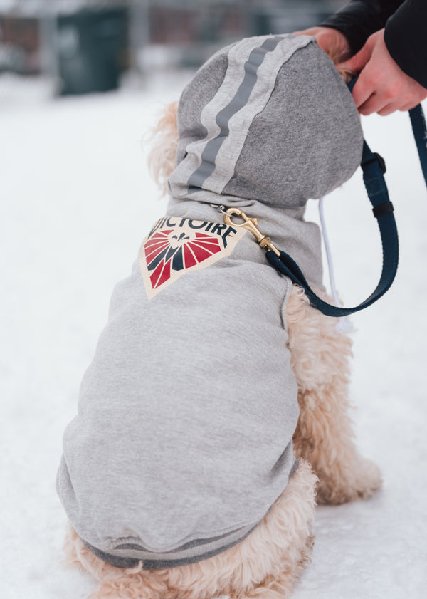 Montreal Victoire Pet Hooded Crewneck - Pet in Gray
