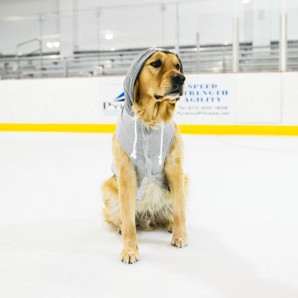 New York Sirens Pet Hooded Crewneck