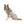 Ottawa Charge Pet Hooded Crewneck - Pet in Gray