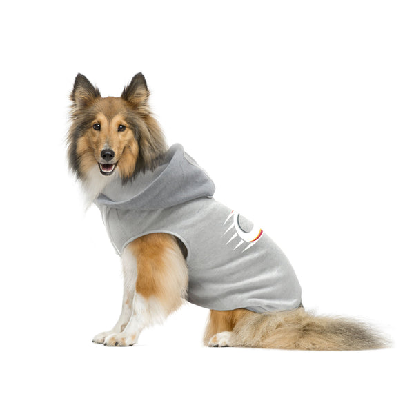 Ottawa Charge Pet Hooded Crewneck - Pet in Gray