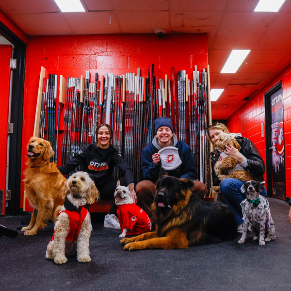 Ottawa Charge Stretch Pet Jersey - Pet in Red