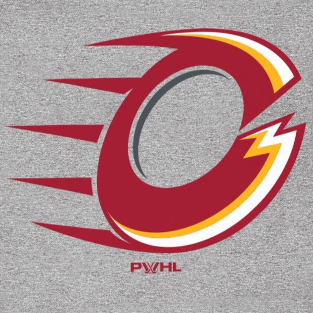 Ottawa Charge Youth Stadium Essentials Logo Hoodie - Hoodie in Gray