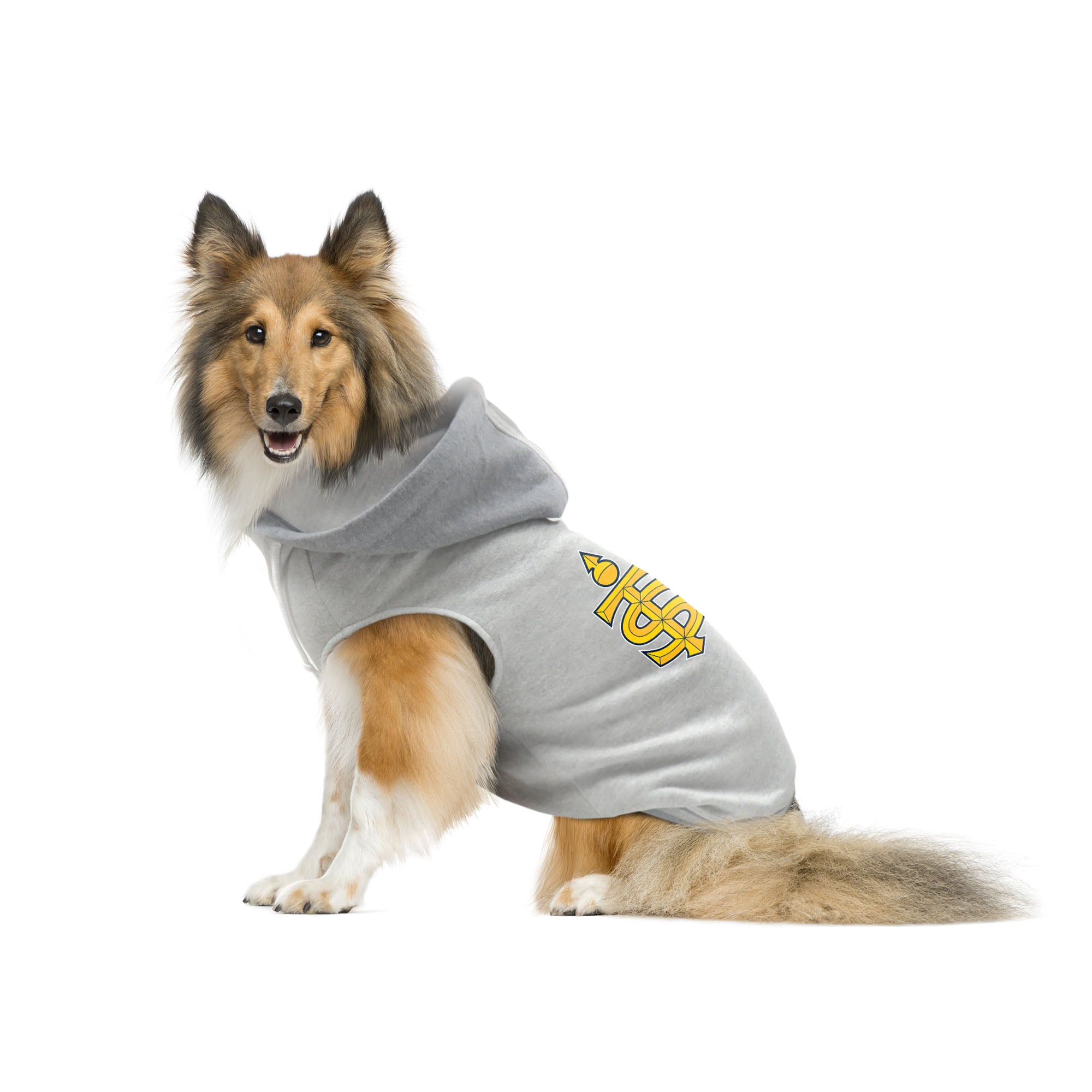 Toronto Sceptres Pet Hooded Crewneck - Pet in Gray