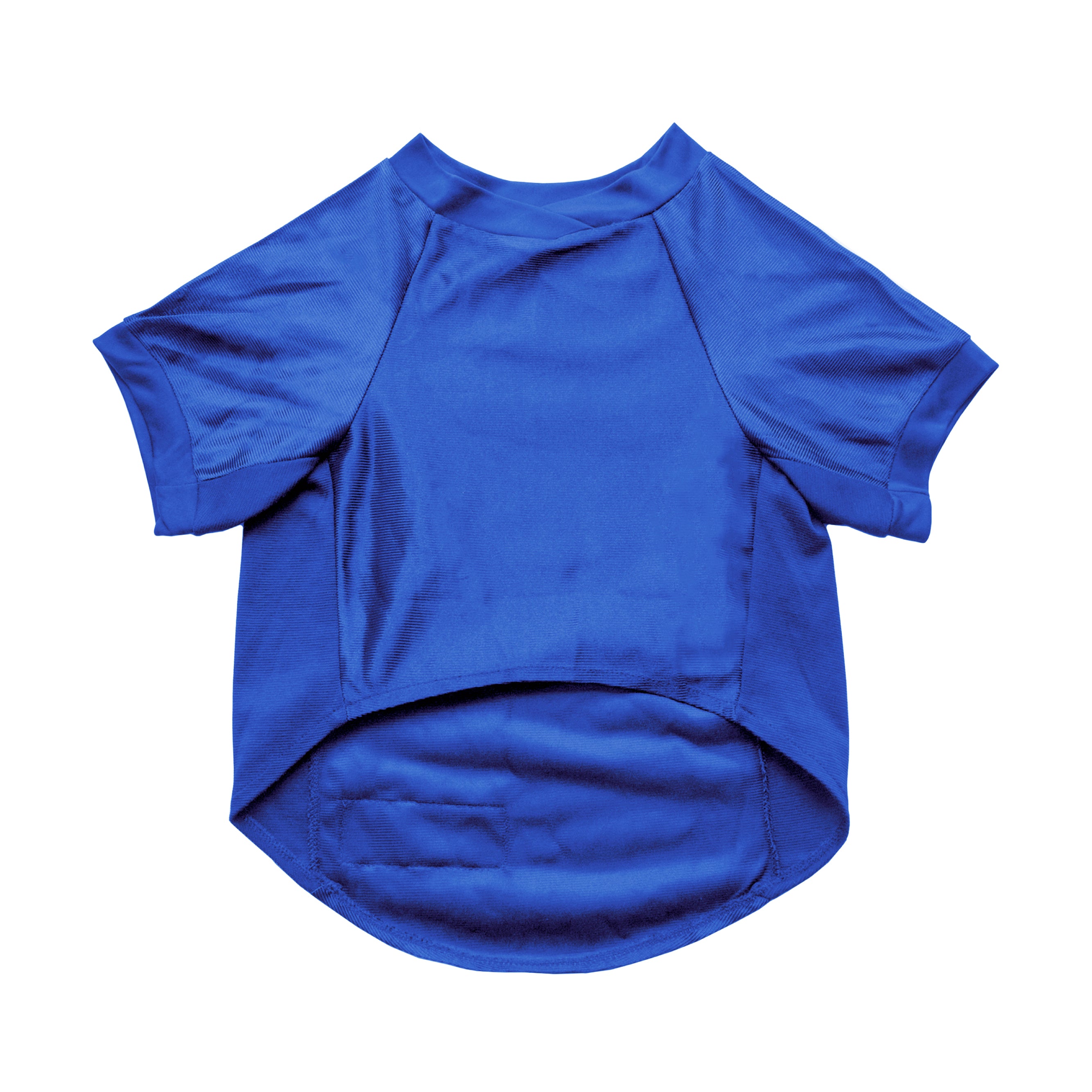 Toronto Sceptres Big Dog Stretch Pet Jersey - Pet in Blue
