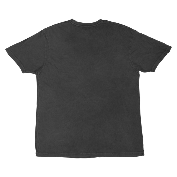 Pre - Order Toronto Sceptres Adult Stadium Essentials Issue Pride Vintage T-Shirt - T-Shirt in Vintage Black